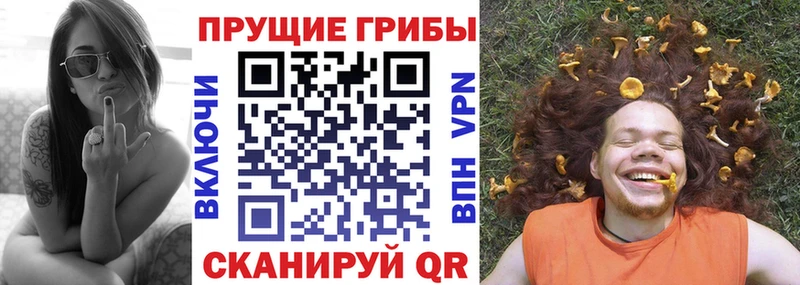 цены наркотик  Юрга  Галлюциногенные грибы Psilocybe 